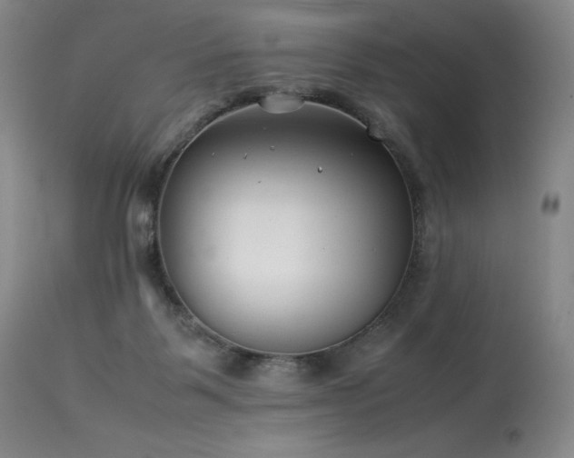 X0000113990123200910021233