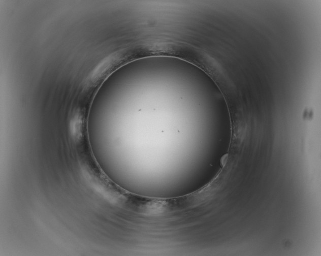 X0000113990124200910021233