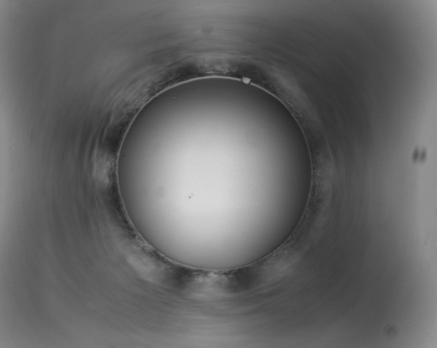 X0000113990125200910021233