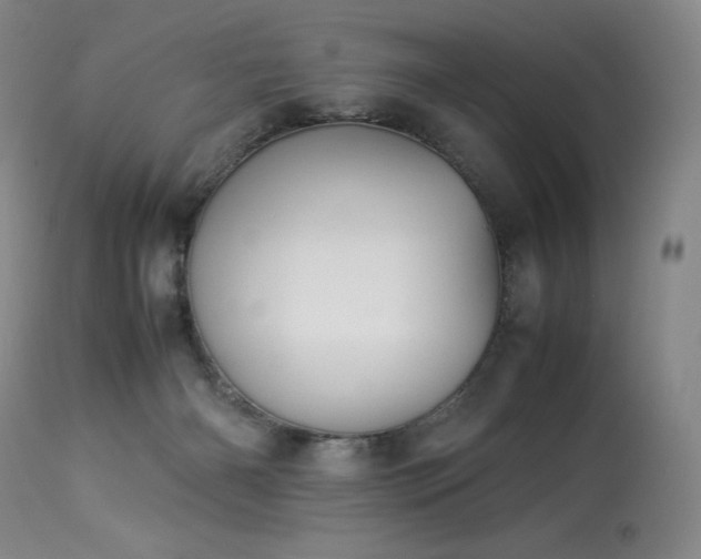 X0000113990126200910021233