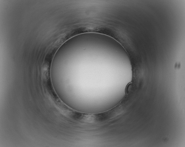 X0000113990127200910021233