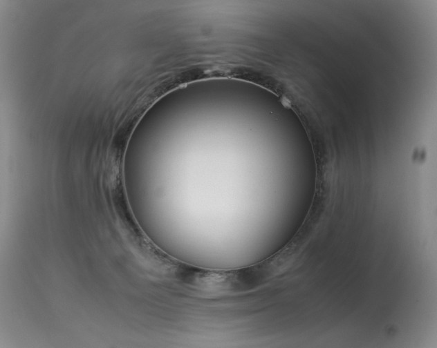 X0000113990129200910021232