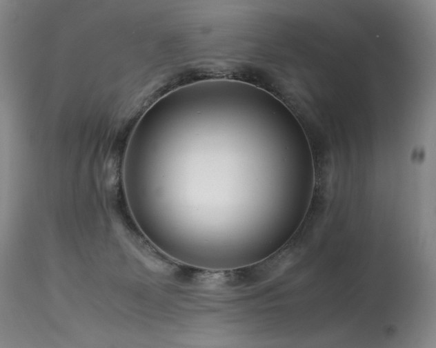 X0000113990131200910021232