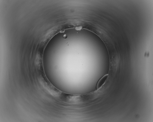 X0000113990132200910021232