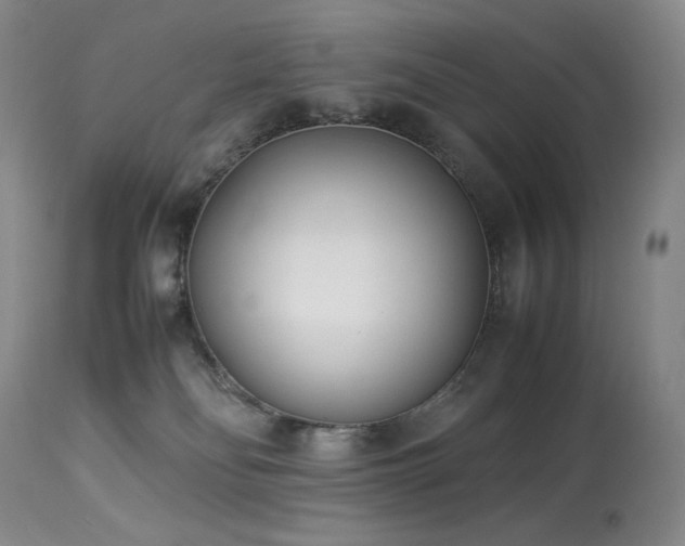 X0000113990134200910021232