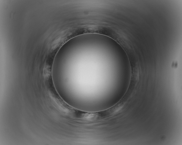 X0000113990135200910021232