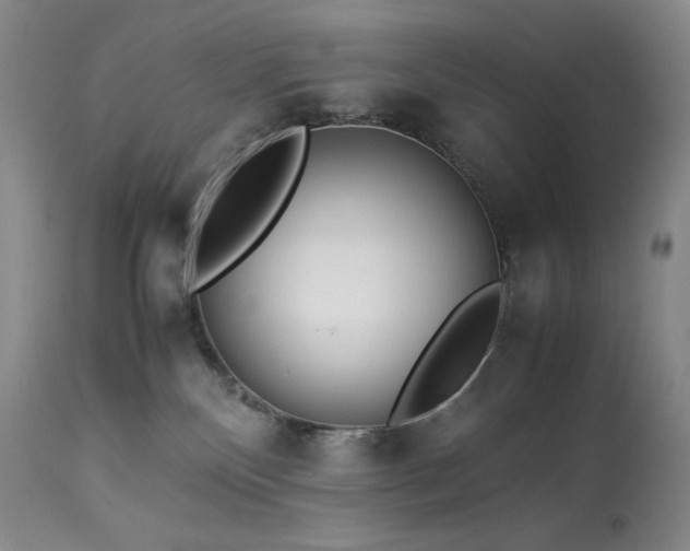 X0000113990136200910021232