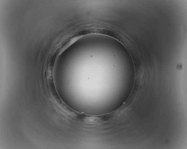 X0000113990137200910021232