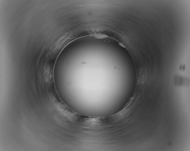 X0000113990140200910021232