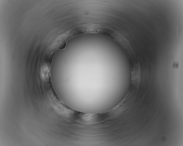 X0000113990142200910021232