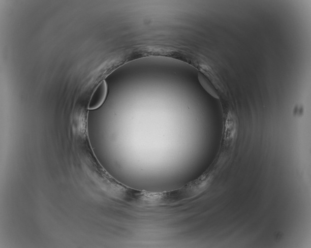 X0000113990143200910021232