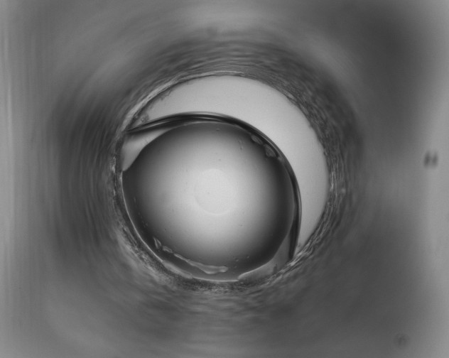 X0000113990146200910021231