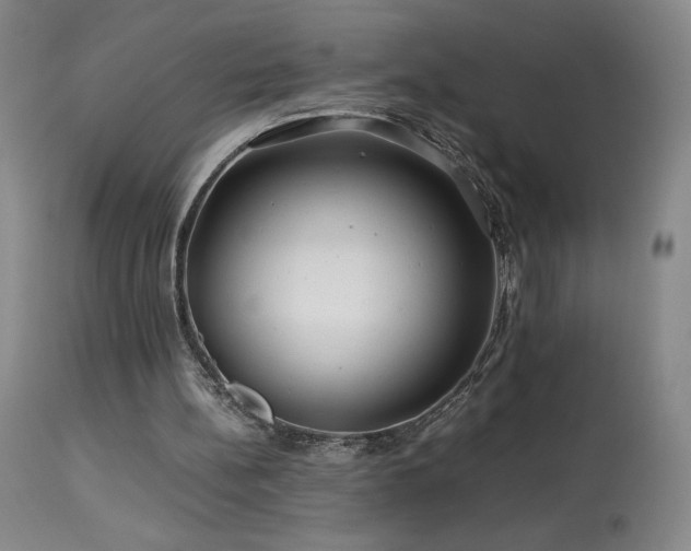 X0000113990148200910021231