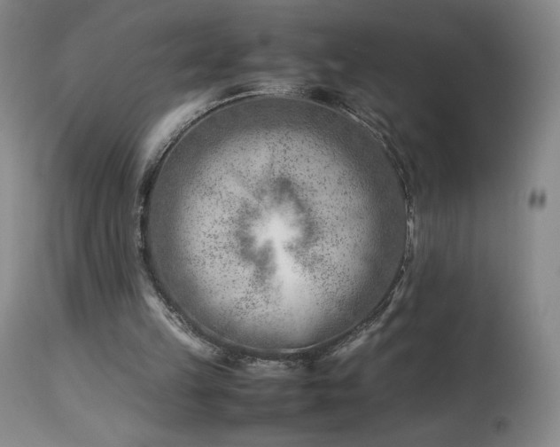 X0000113990149200910021231