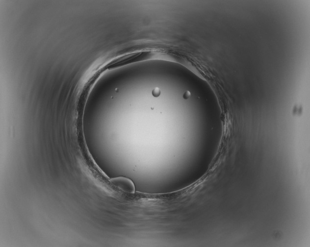 X0000113990150200910021231