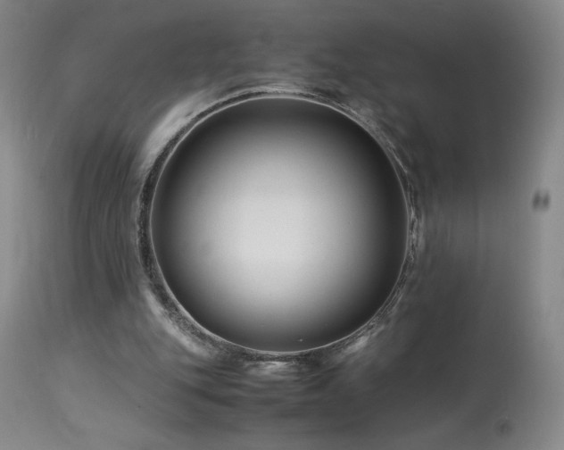 X0000113990151200910021231