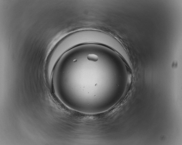 X0000113990152200910021231