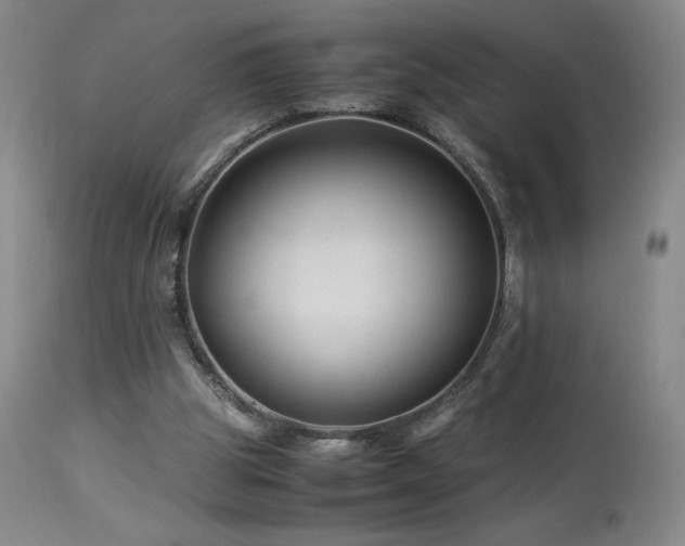 X0000113990153200910021231