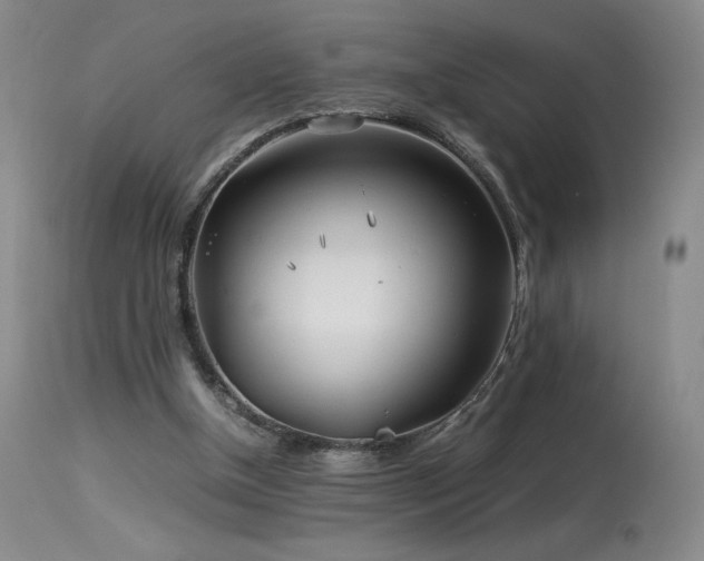 X0000113990154200910021232