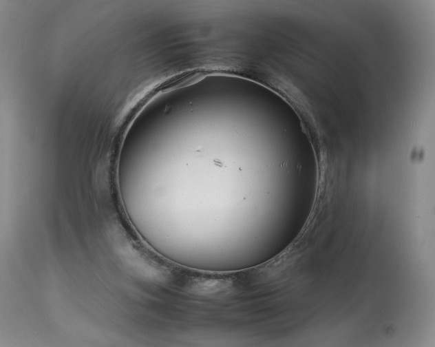 X0000113990155200910021232