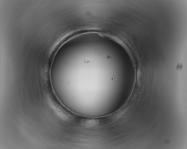 X0000113990156200910021232