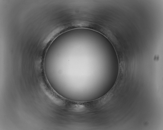 X0000113990159200910021232