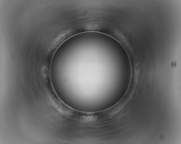 X0000113990161200910021232