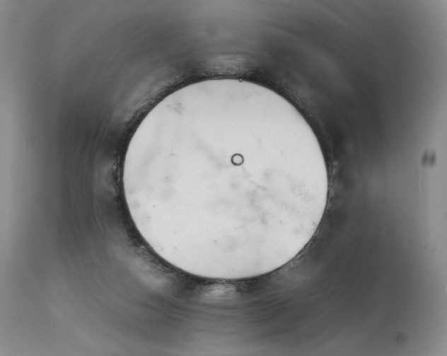 X0000113990162200910021232