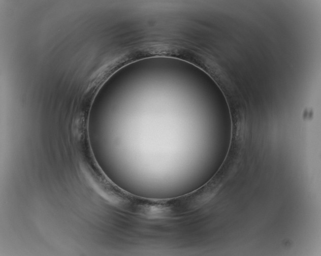 X0000113990165200910021232