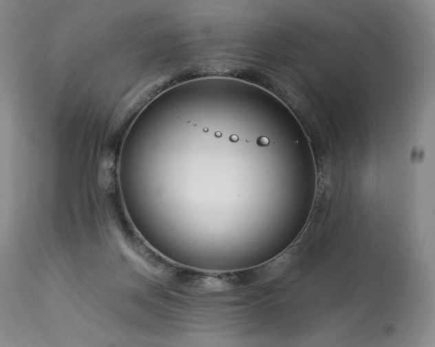 X0000113990166200910021232