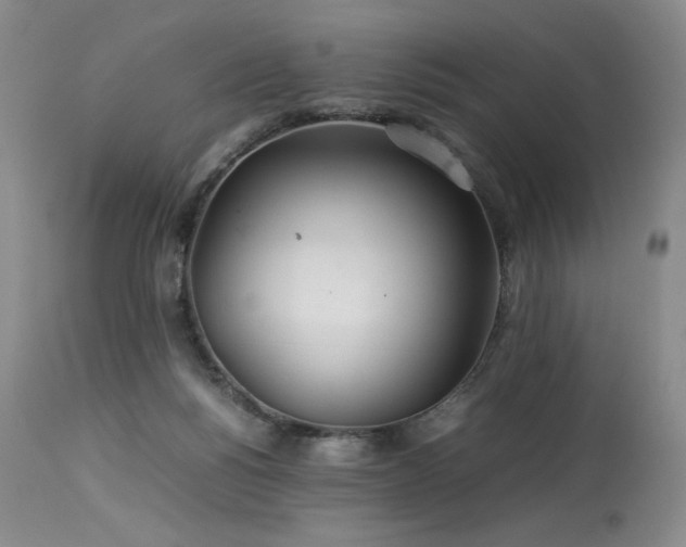 X0000113990168200910021232