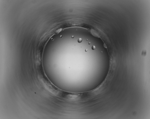 X0000113990170200910021232