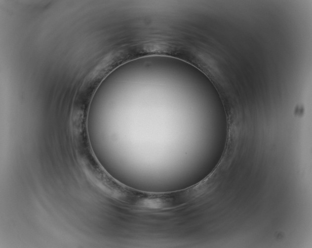 X0000113990171200910021232