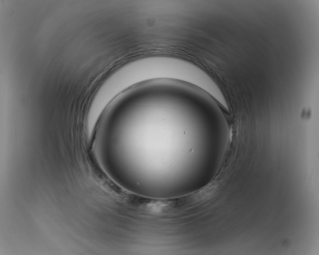 X0000113990172200910021232