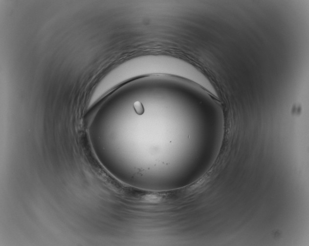 X0000113990176200910021232