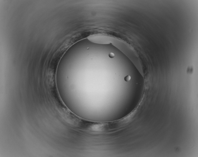 X0000113990178200910021232