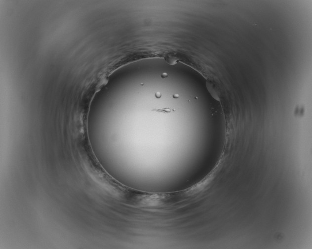 X0000113990182200910021232