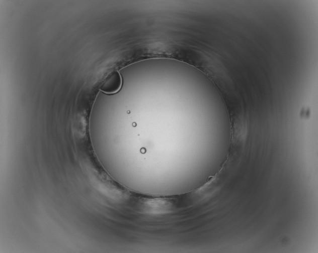 X0000113990183200910021232