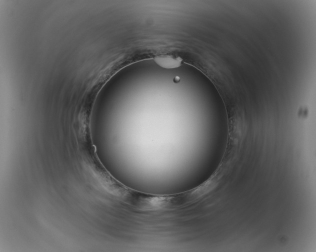 X0000113990184200910021232