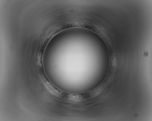 X0000113990185200910021232