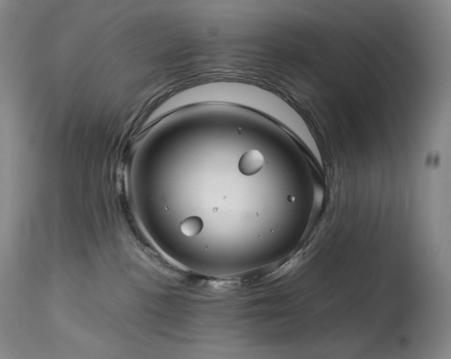 X0000113990188200910021232