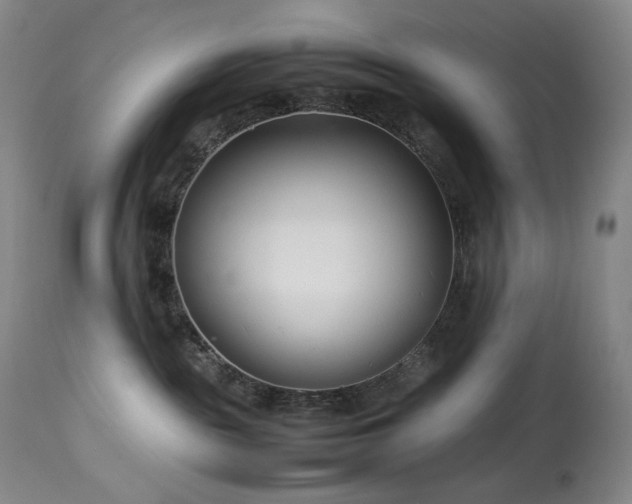 X0000113990189200910021232