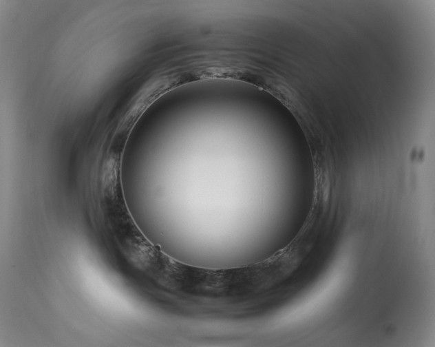 X0000113990191200910021232