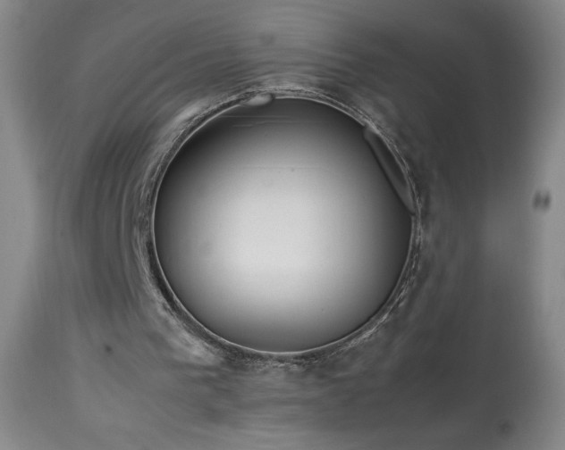 X0000113990193200910021231