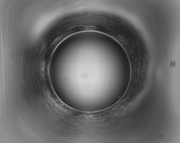 X0000113990194200910021231