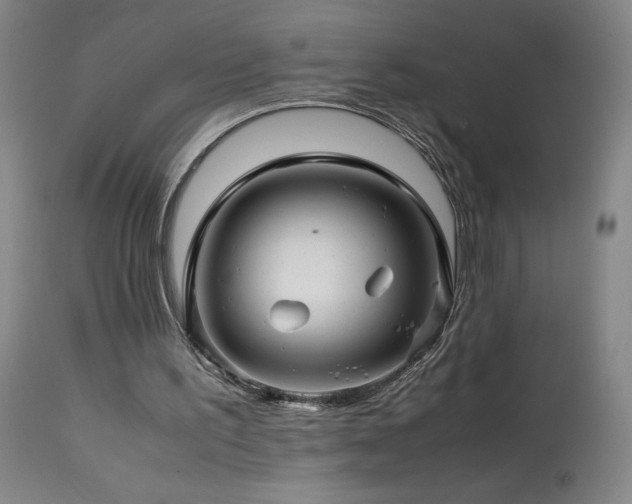 X0000113990195200910021231