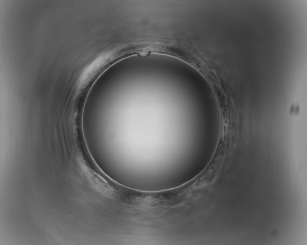 X0000113990197200910021231