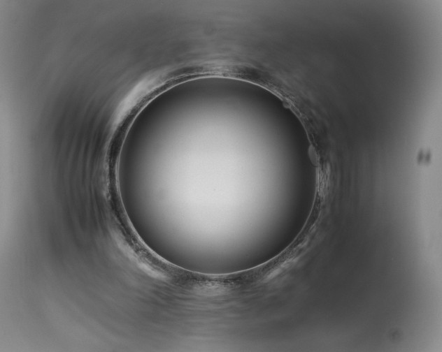 X0000113990198200910021231