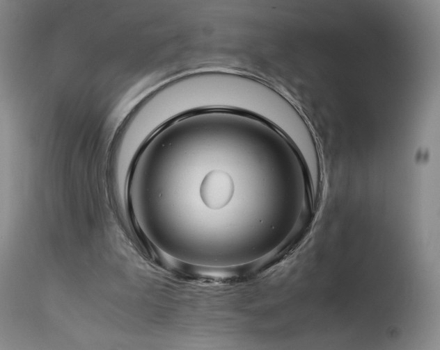 X0000113990199200910021231