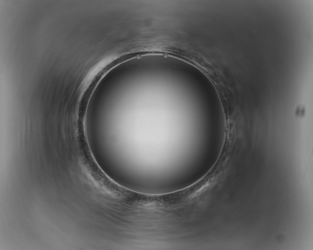 X0000113990200200910021231